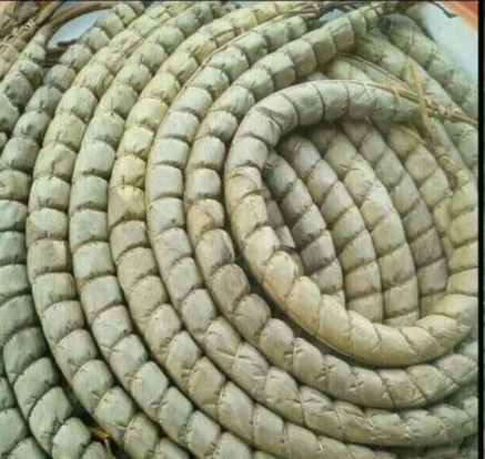 Bâton de manioc issue de la production de manioc de Batchenga